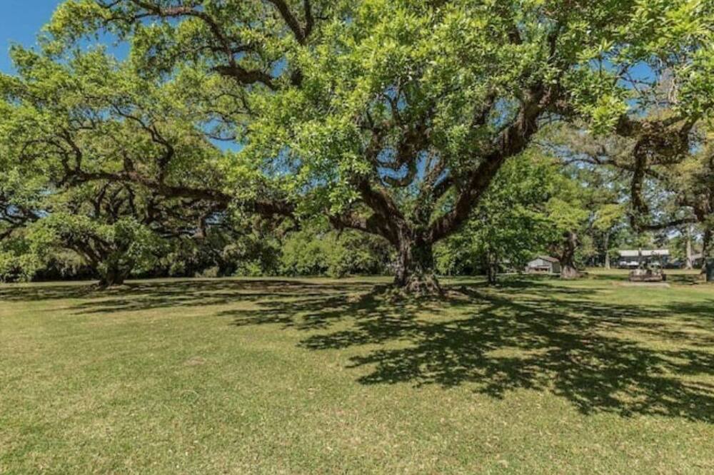 Photo of Outdoor in Franklin