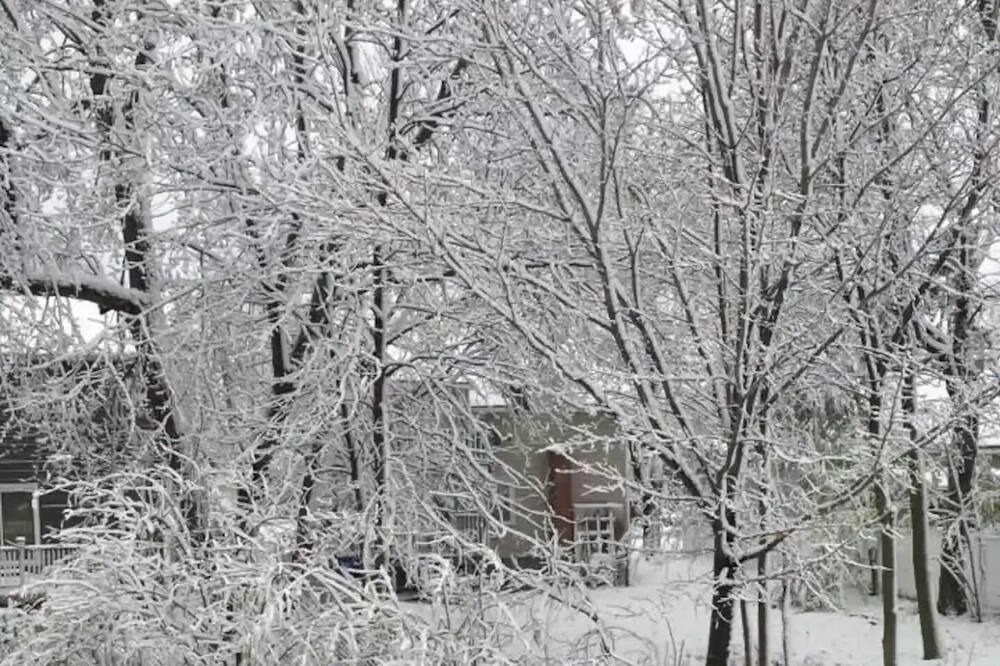 Photo of Outdoor in L'Ile-Perrot