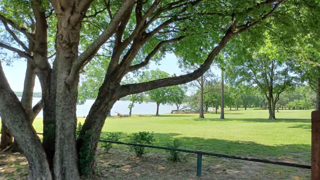 Photo of Outdoor in Shady Shores