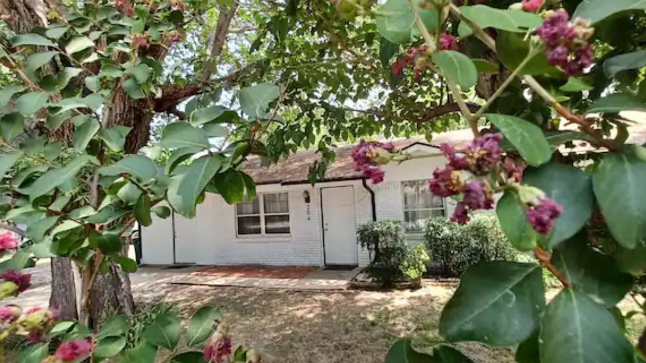 Photo of Outdoor in Shady Shores
