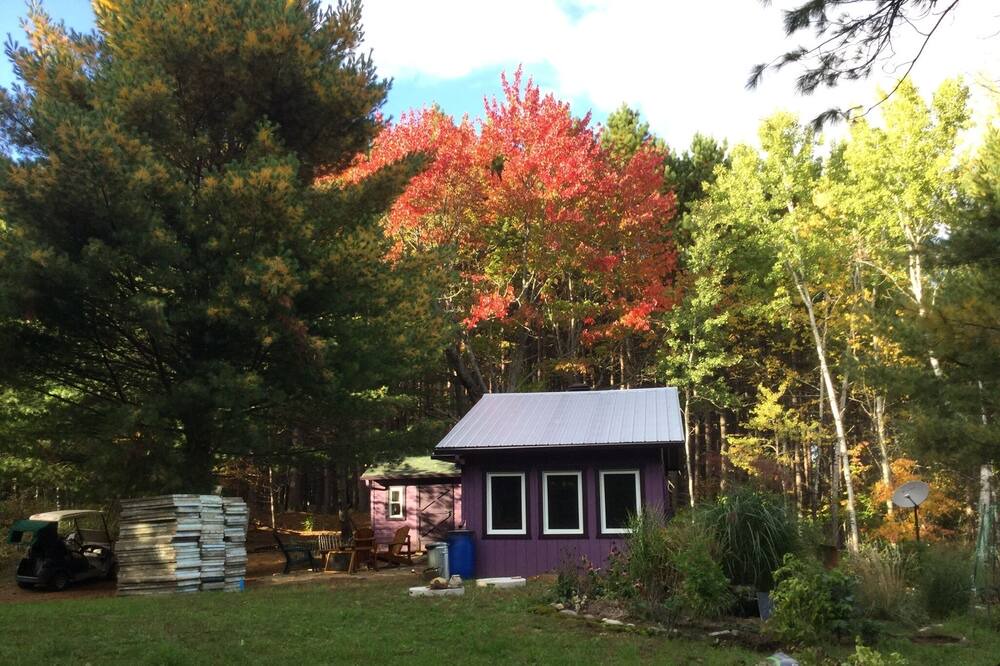 Photo of Outdoor in Gracefield