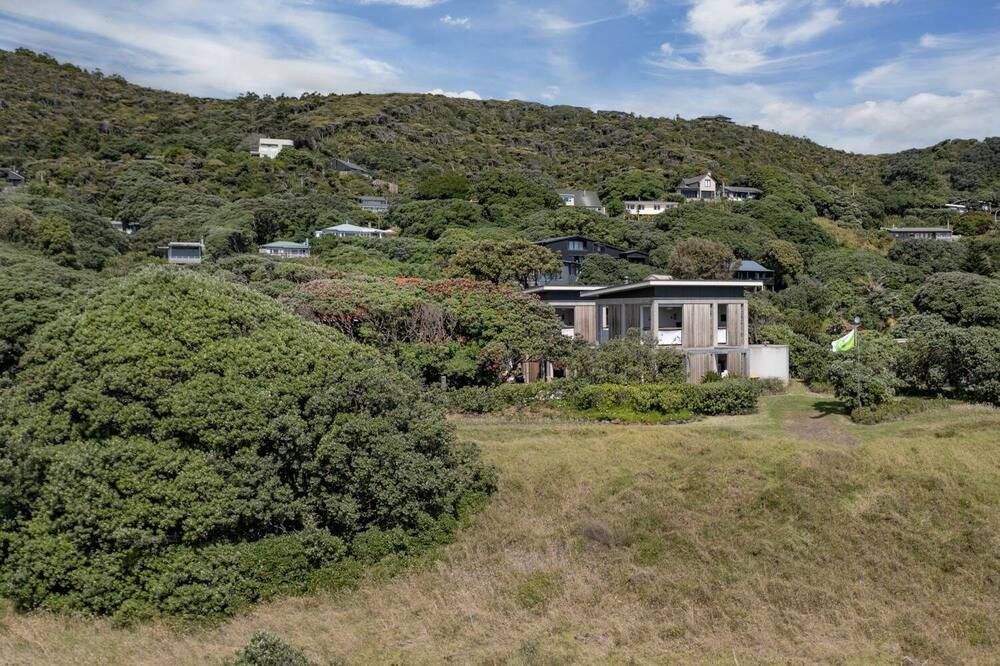 Photo of Outdoor in Piha