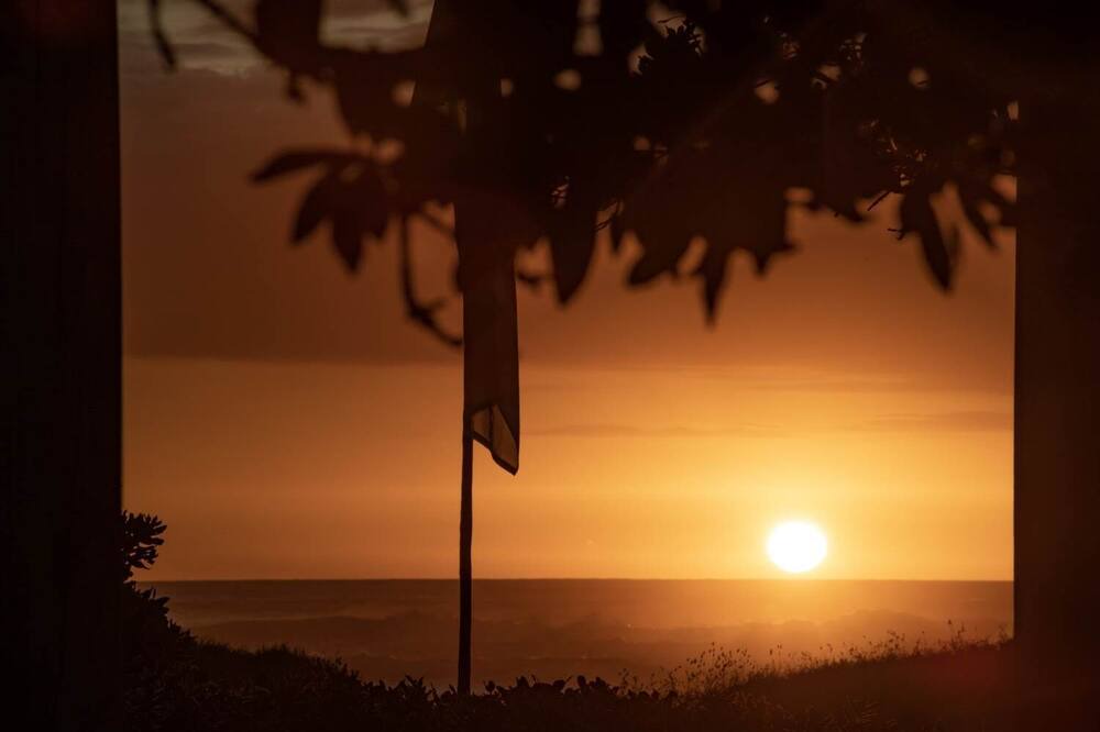 Photo of Others in Piha
