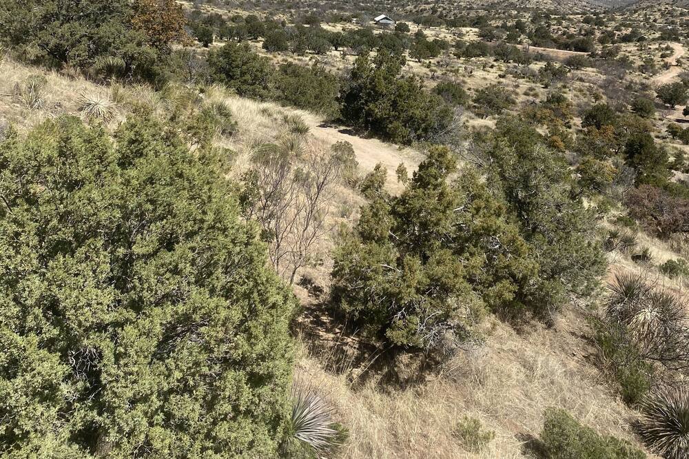 Photo of Others in Tombstone