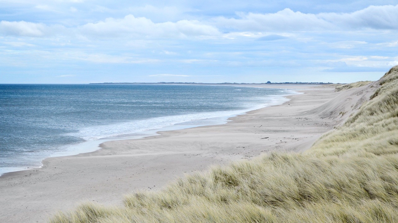 Photo of Others in Horncliffe