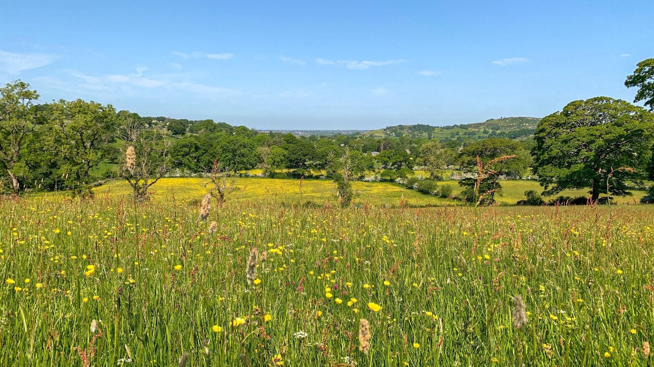 Photo of Outdoor in Sutton