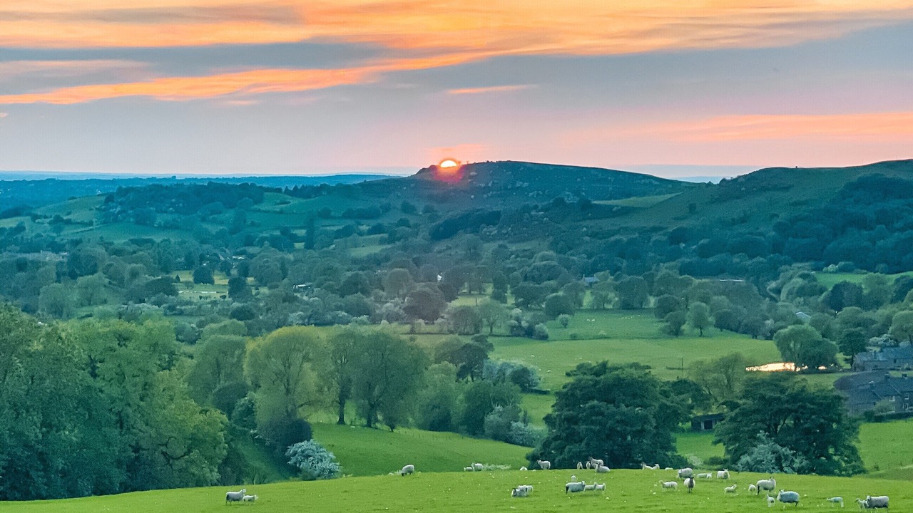 Photo of Others in Sutton