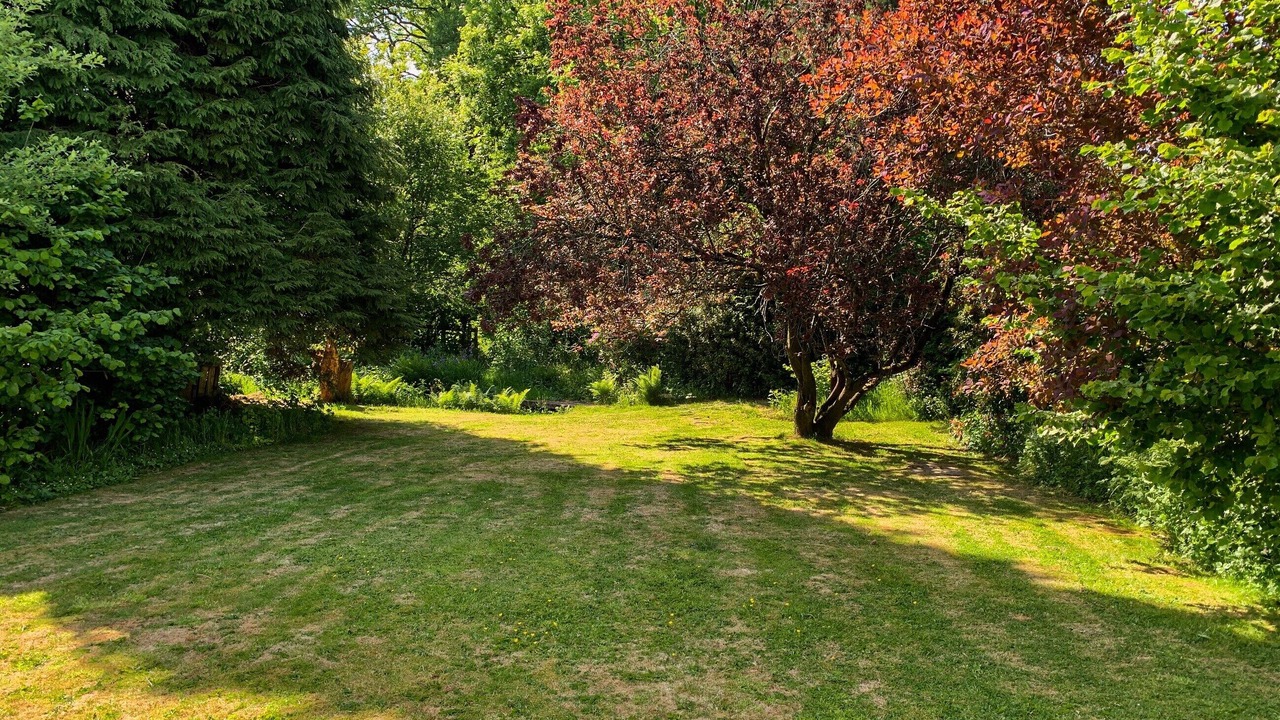 Photo of Outdoor in Sutton