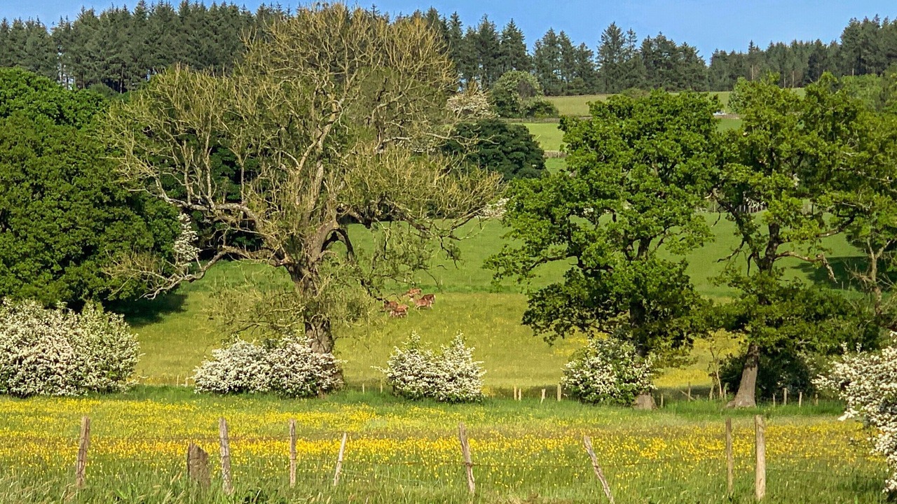 Photo of Others in Sutton