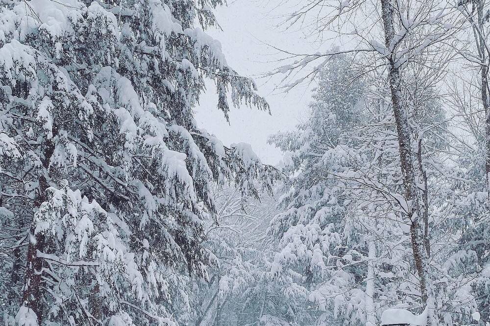 Photo of Outdoor in Minden Hills