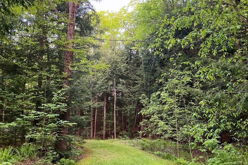 Photo of Outdoor in Minden Hills