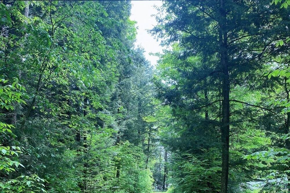 Photo of Outdoor in Minden Hills