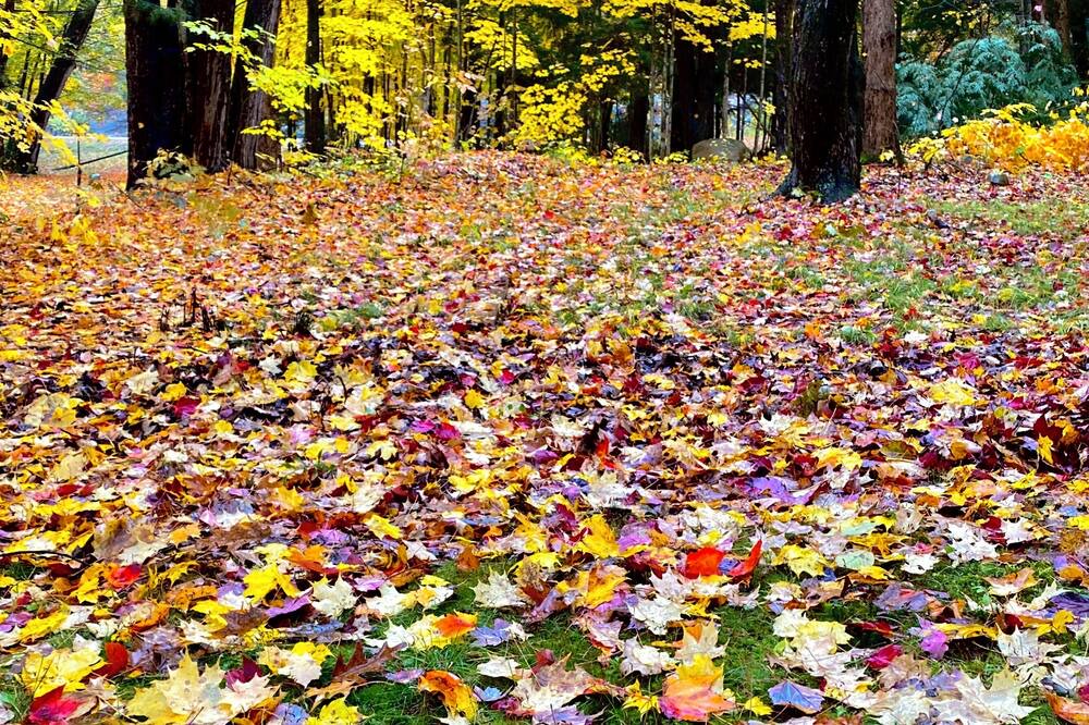 Photo of Outdoor in Minden Hills