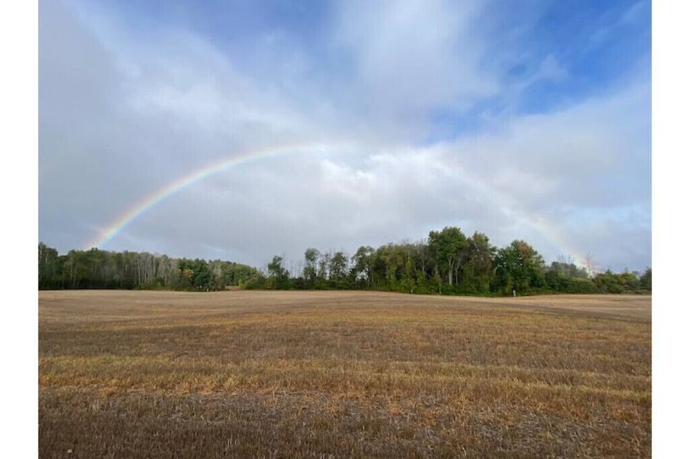 Photo of Others in Guelph/Eramosa