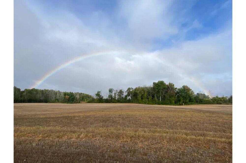 Photo of Others in Guelph/Eramosa