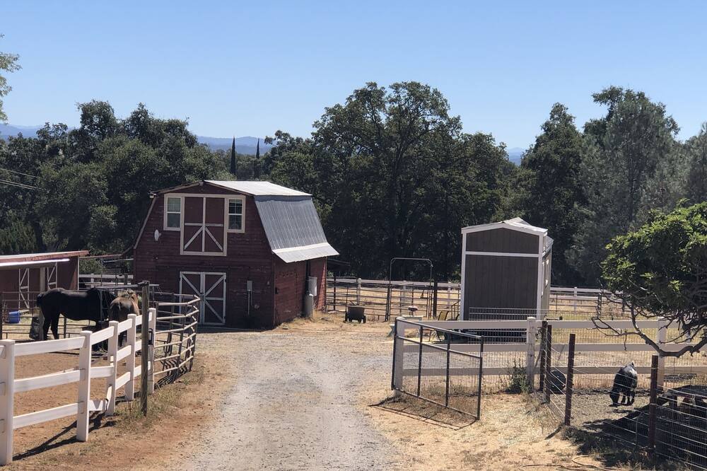 Photo of Others in Pilot Hill