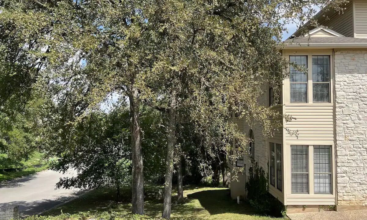 Photo of Outdoor in West Lake Hills