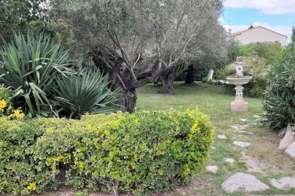 Photo of Outdoor in Lunel