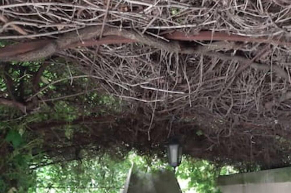 Photo of Outdoor in Lunel