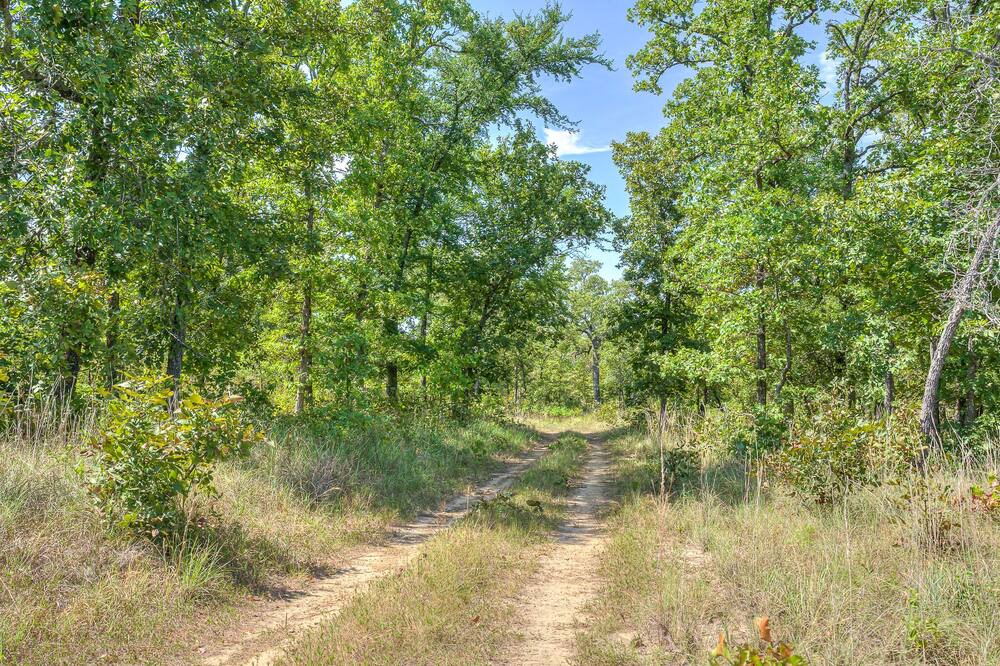 Photo of Outdoor in Hughes County