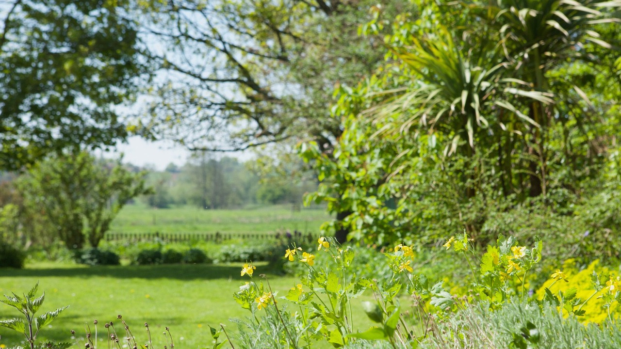 Photo of Outdoor in Saxmundham