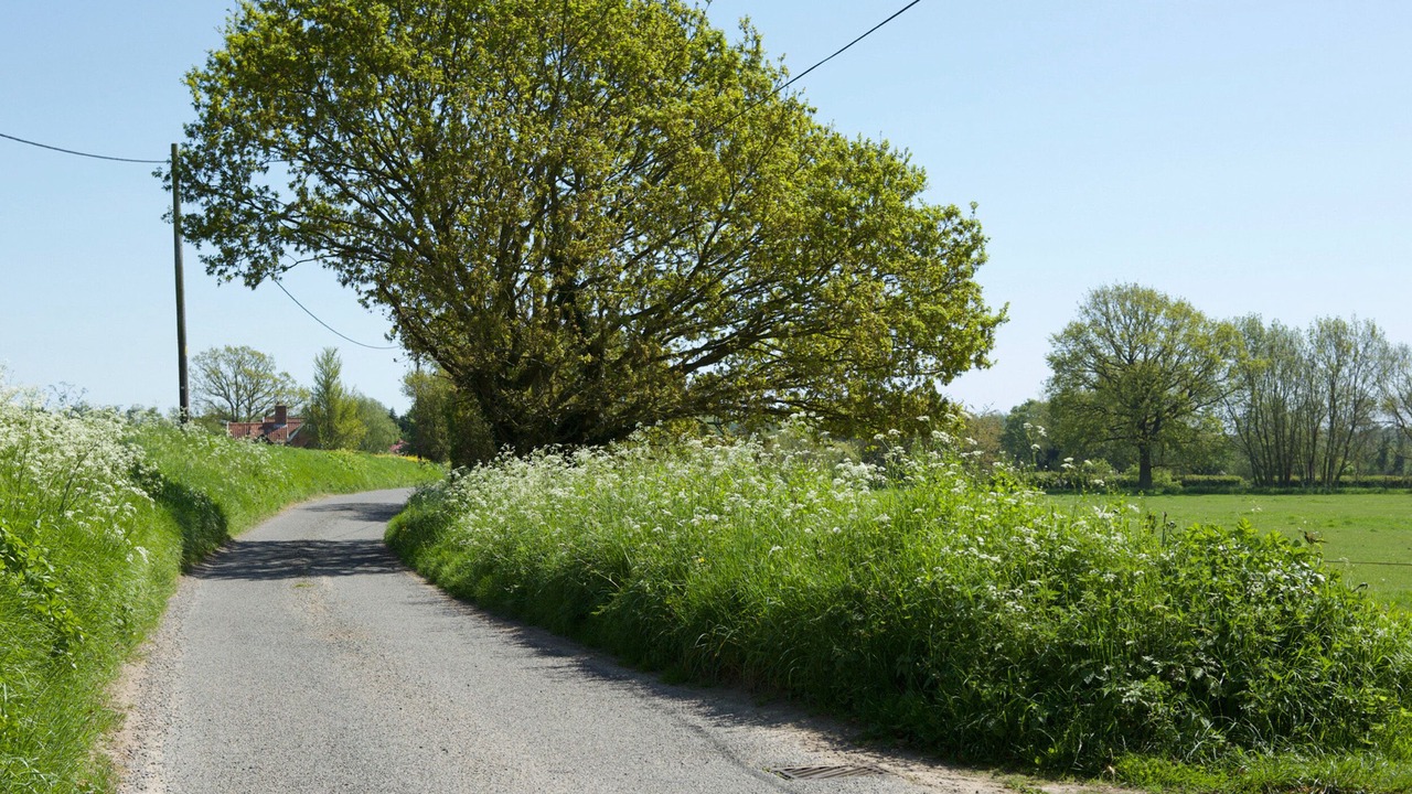 Photo of Outdoor in Saxmundham
