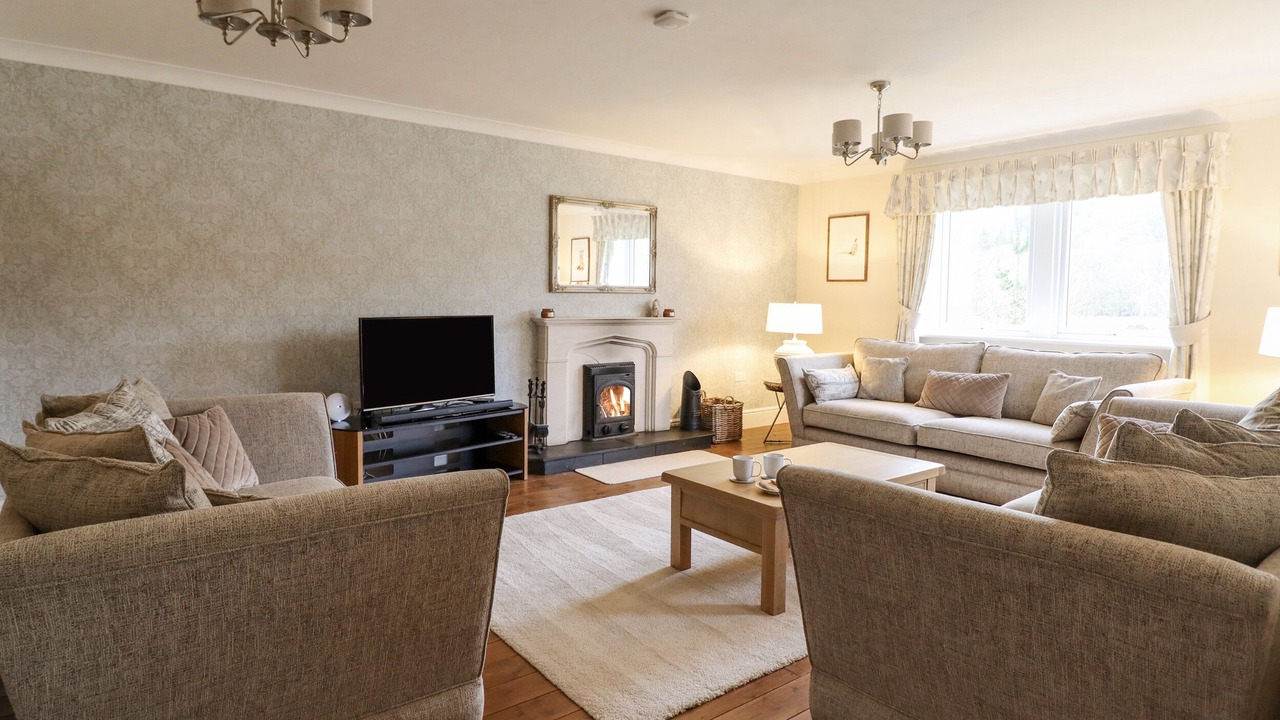 Photo of Livingroom in Dolanog