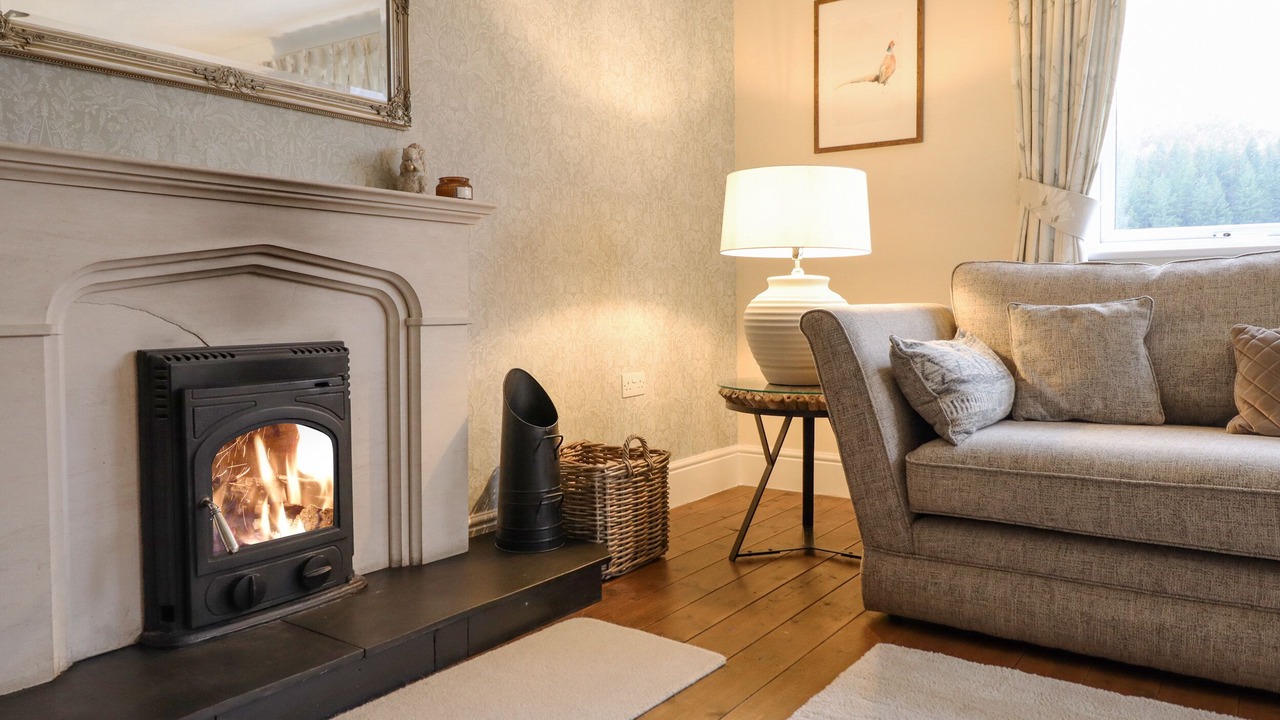 Photo of Livingroom in Dolanog