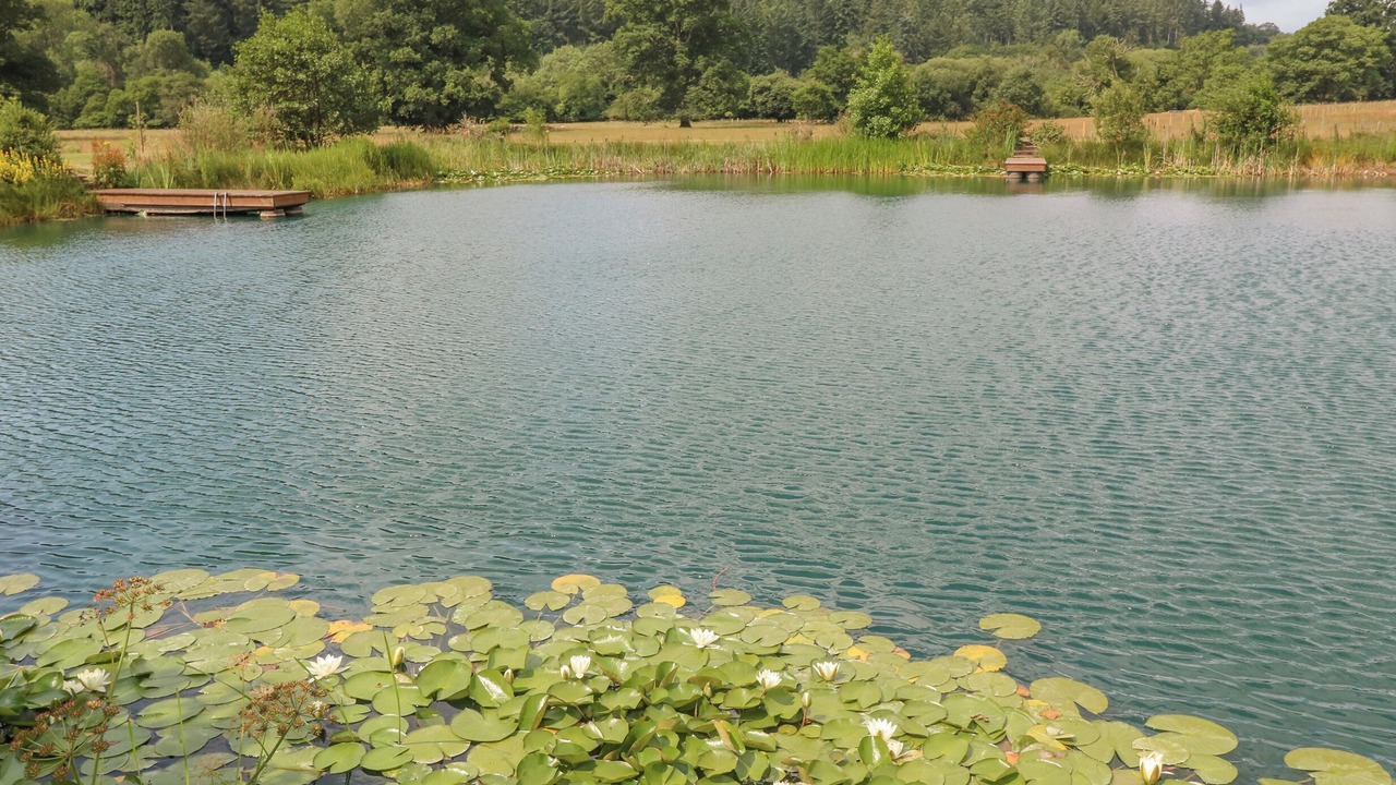 Photo of Others in Dolanog