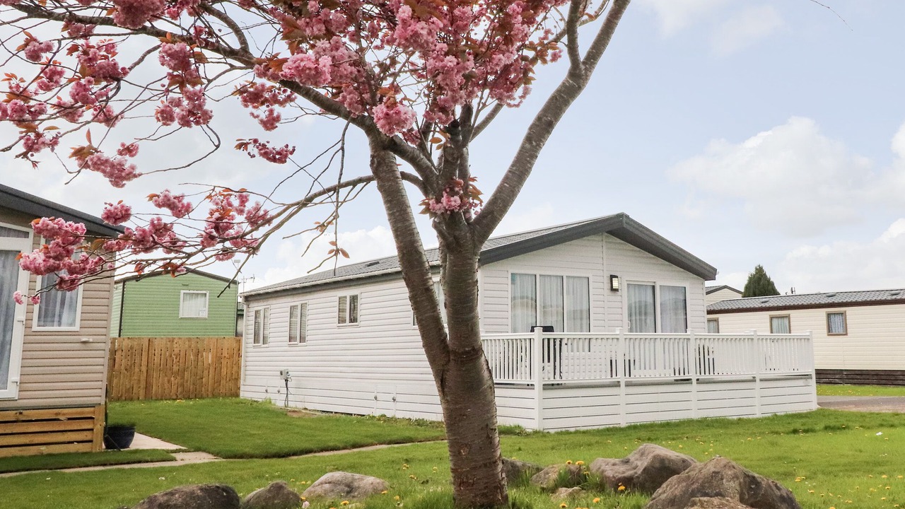 Photo of Others in Morecambe