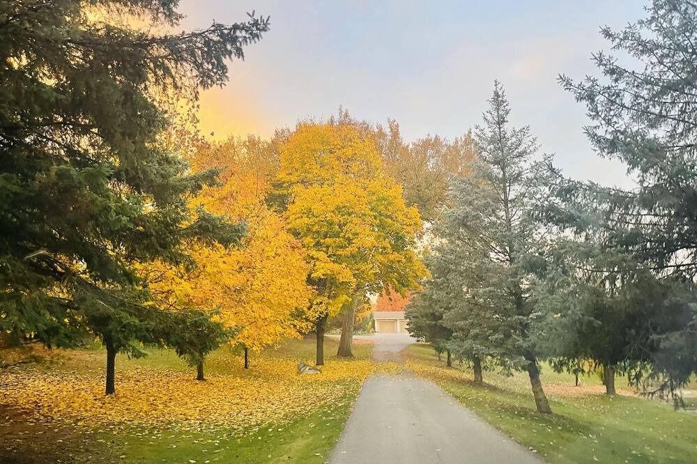Photo of Outdoor in Caledon