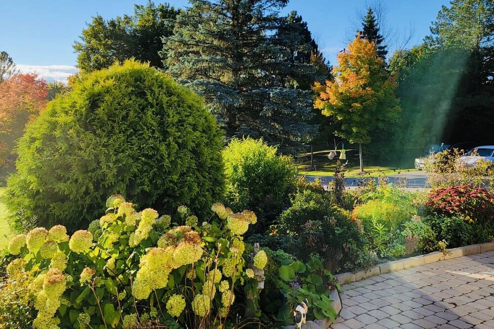 Photo of Outdoor in Caledon