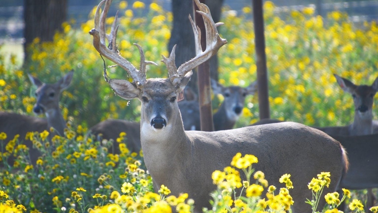 Photo of Outdoor in Morgan