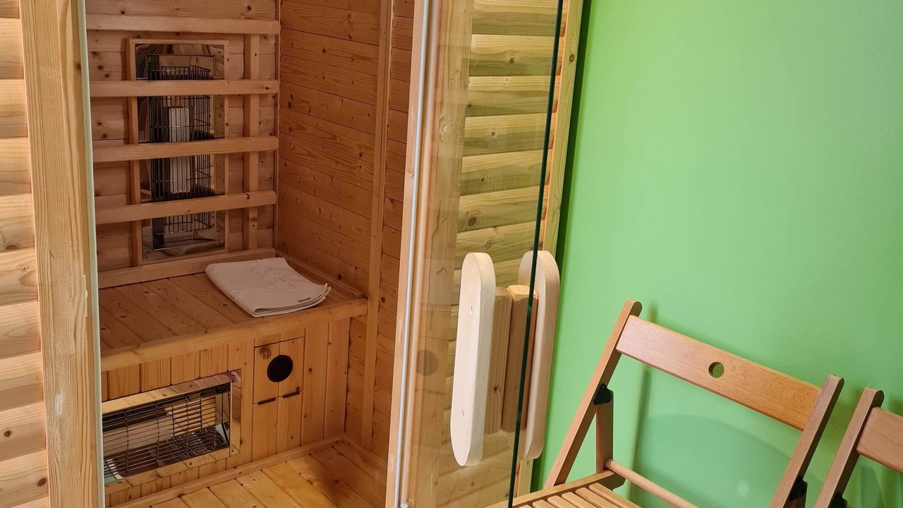 Photo of Others in Brixham