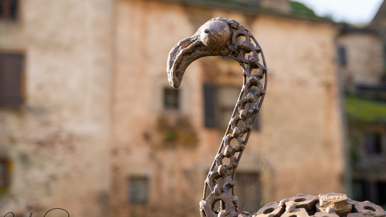 Photo of Outdoor in Brousse-le-Chateau