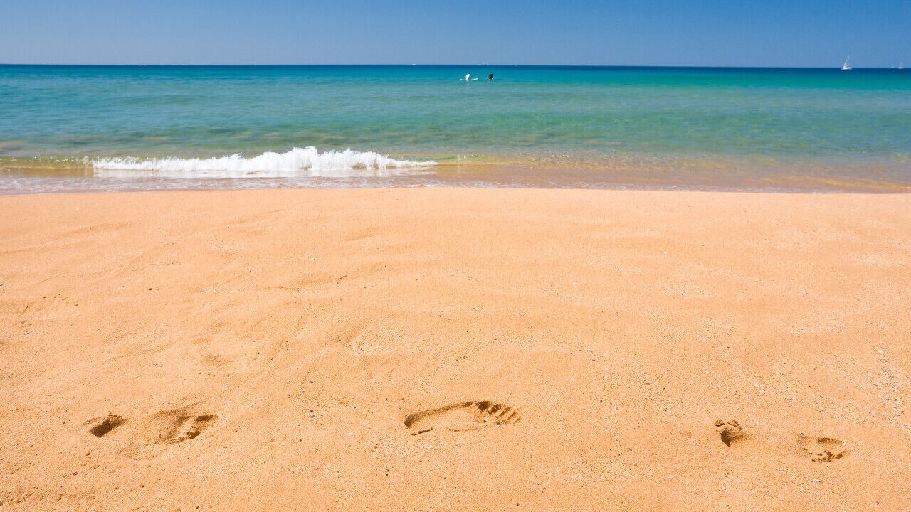 Photo of Others in Narrabeen