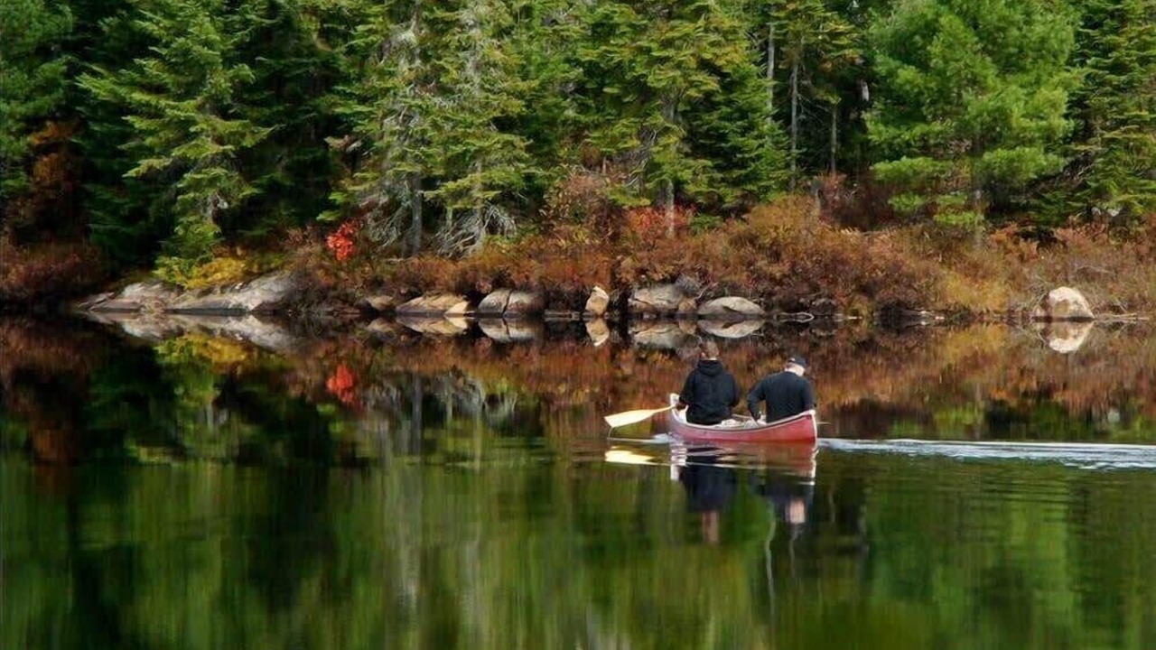 Photo of Others in Mauricie