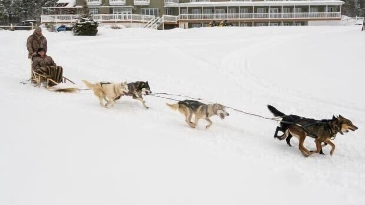Photo of Outdoor in Mauricie