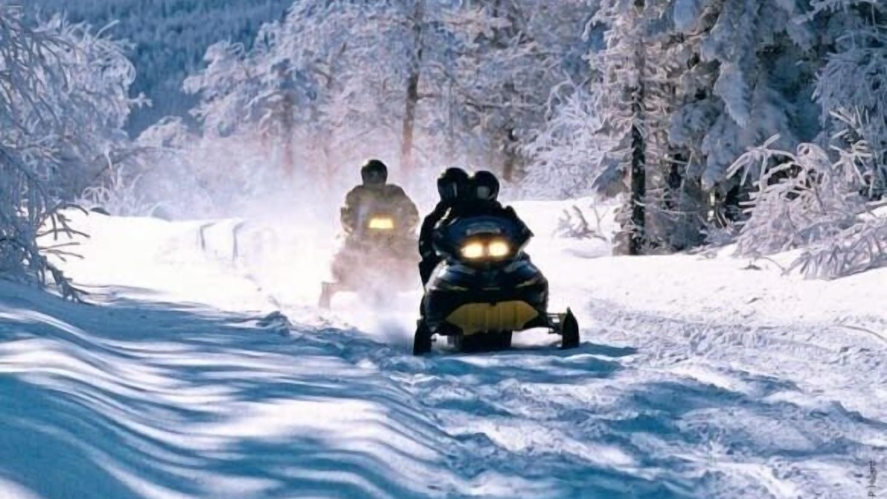 Photo of Others in Mauricie