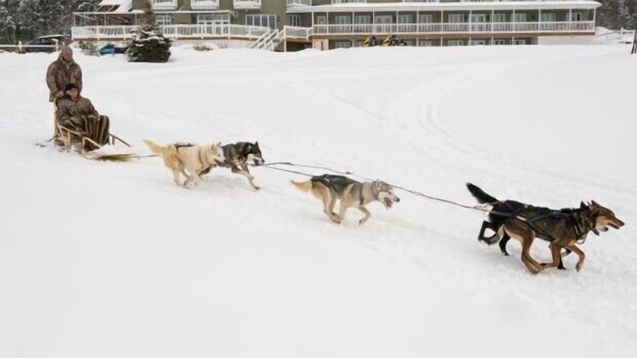 Photo of Others in Mauricie