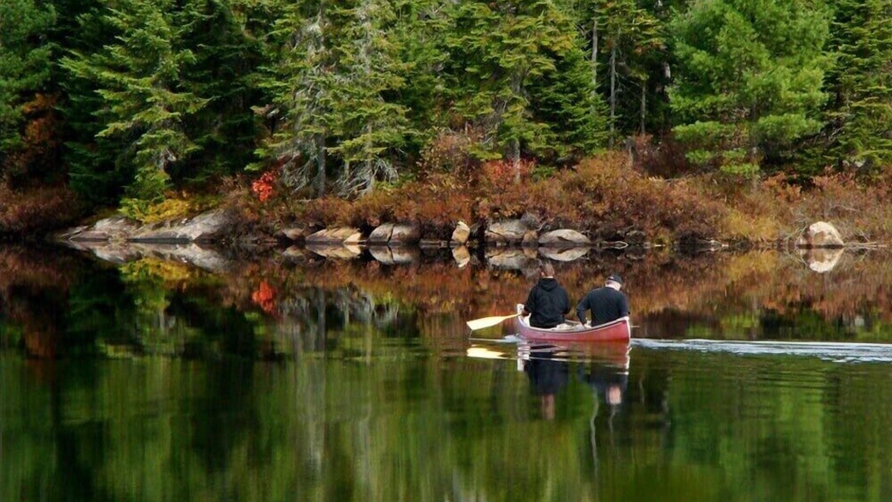 Photo of Others in Mauricie