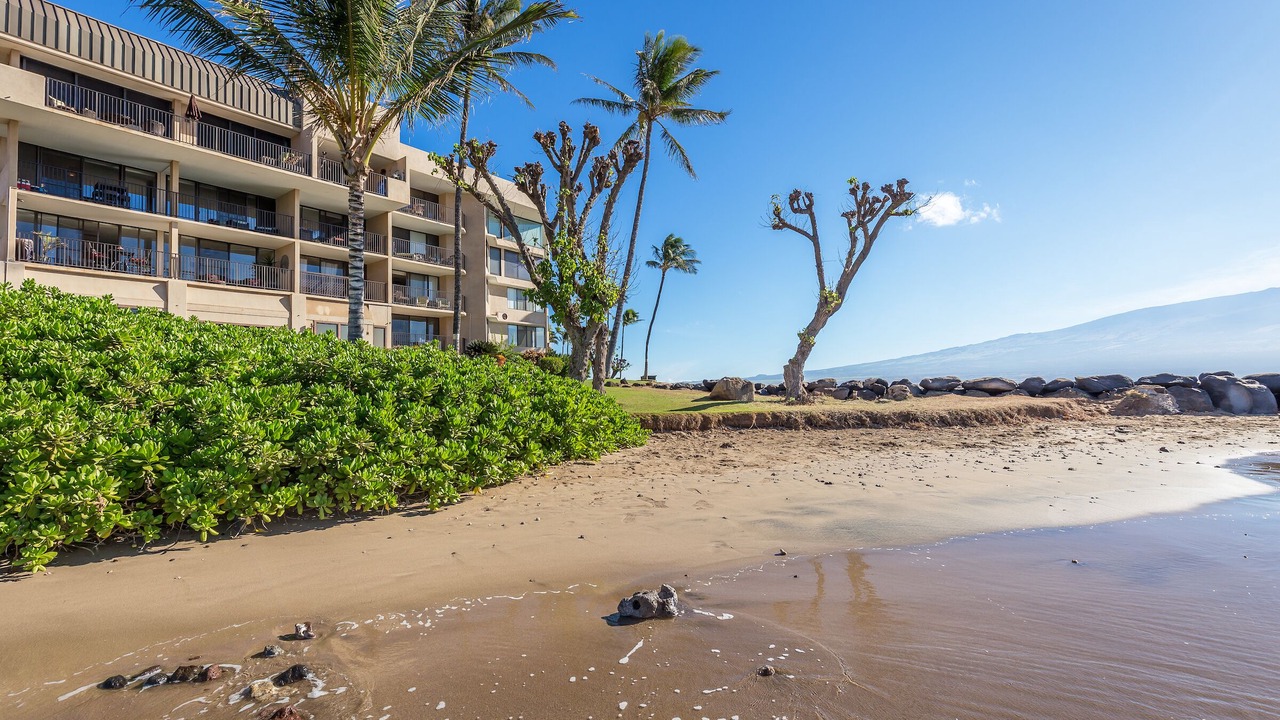 Photo of Others in Maalaea