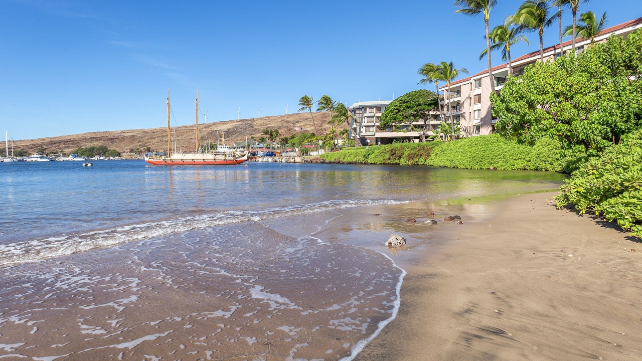 Photo of Others in Maalaea