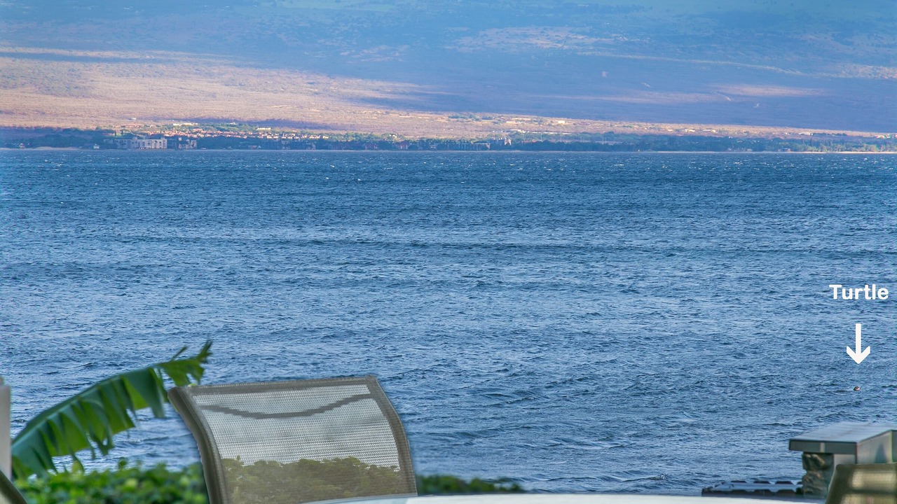 Photo of Outdoor in Maalaea