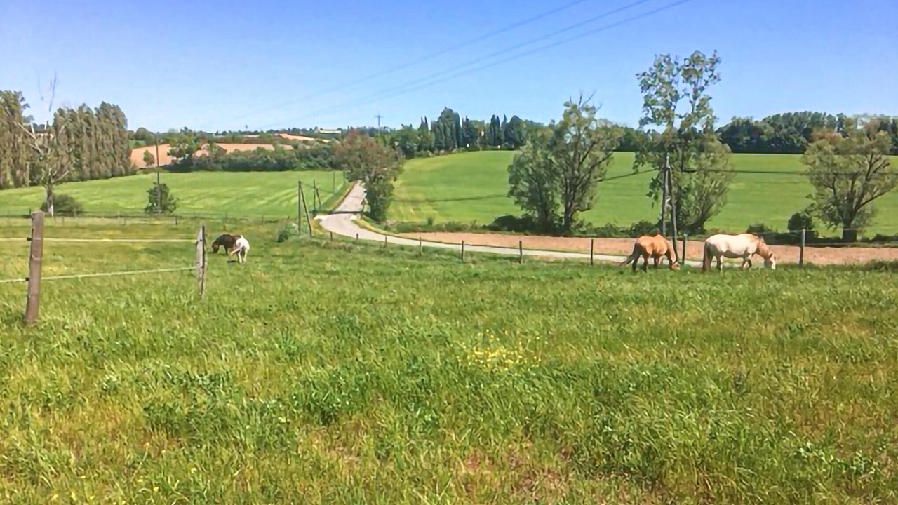 Photo of Others in Labastide-d'Anjou