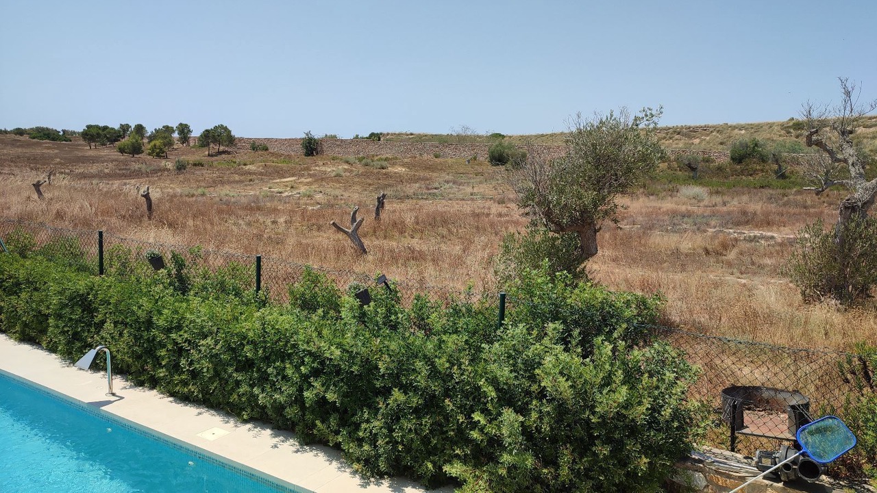 Photo of Outdoor in Jeronimo y Avileses y Balsicas de Arriba