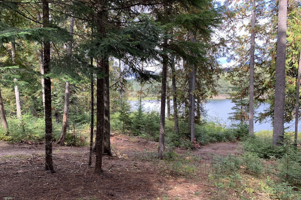 Photo of Others in Cusick