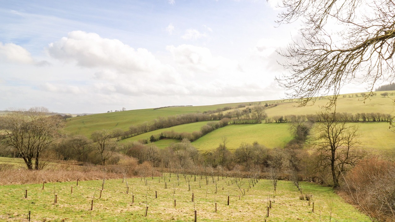 Photo of Others in Llangunllo