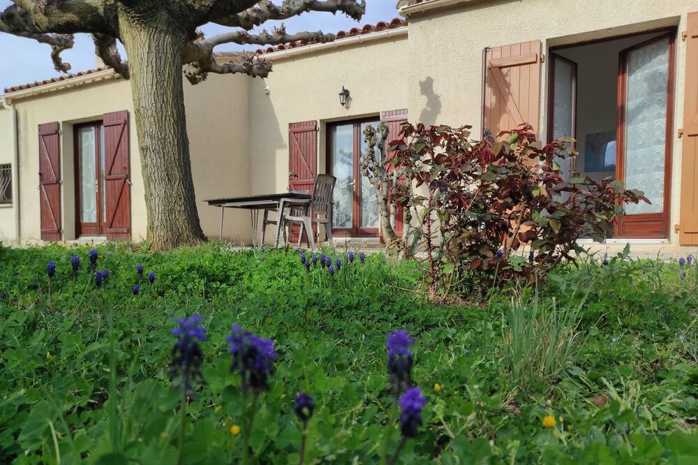 Photo of Outdoor in Valergues