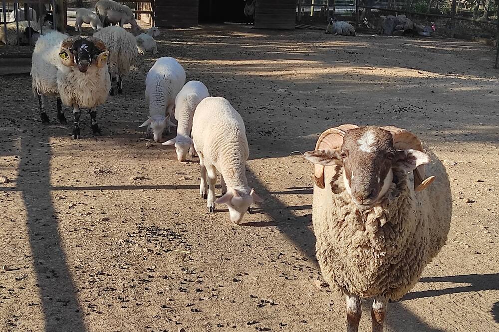 Photo of Others in Valergues